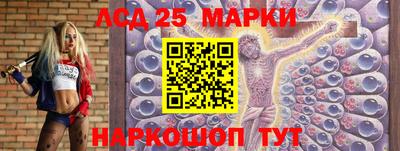 гидра Ставрополь