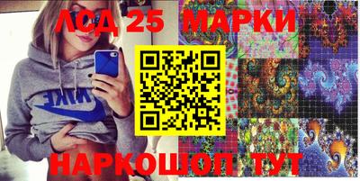 гидра Ставрополь