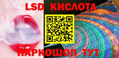 гидра Ставрополь