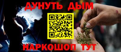 гидра Ставрополь