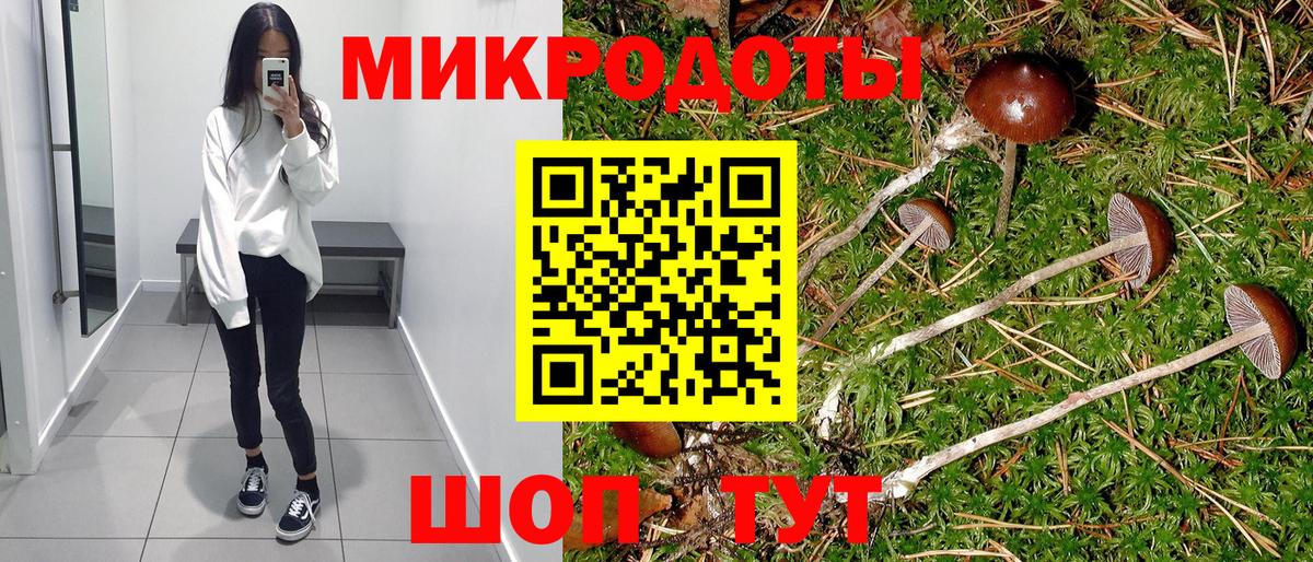 Ноябрьск  Галлюциногенные грибы Cubensis  Вход с VPN 
