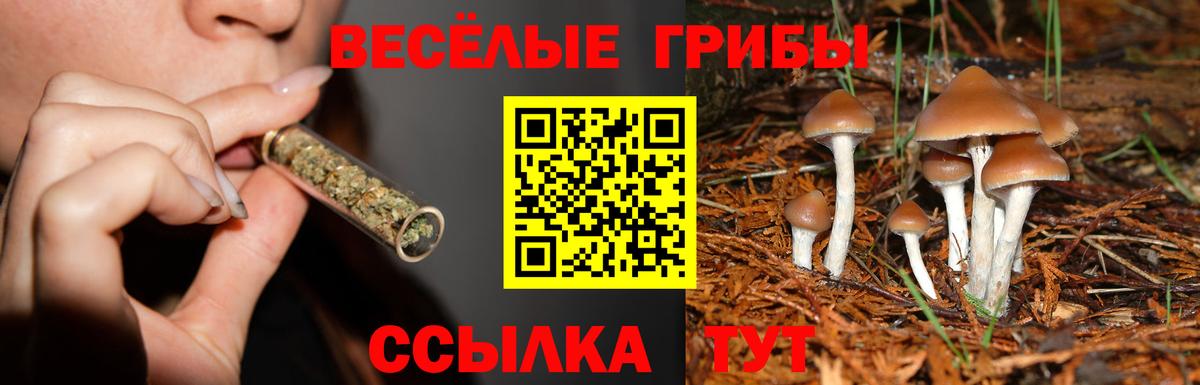 Галлюциногенные грибы мицелий Ноябрьск